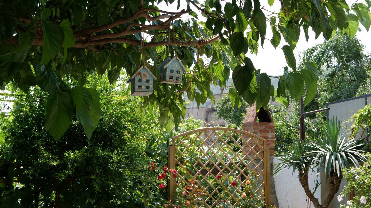 My Garden Hotel Tbilisi Eksteriør billede