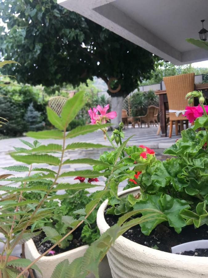 My Garden Hotel Tbilisi Eksteriør billede